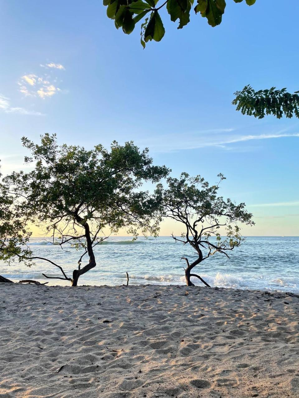 Tamarindo Beach, Prime Location, Fantastic Watersalt Pool & Cold Plunge, Family & Friends Ngoại thất bức ảnh