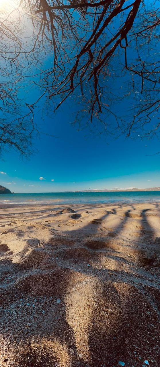 Tamarindo Beach, Prime Location, Fantastic Watersalt Pool & Cold Plunge, Family & Friends Ngoại thất bức ảnh